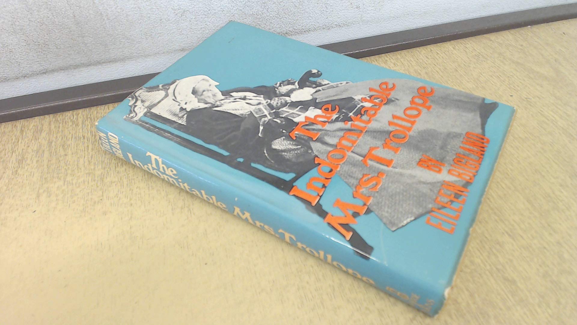 The indomitable Mrs Trollope (Hardcover)