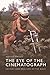 Eye of the Cinematograph by Keyvan Manafi