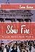 Slow Fire: Jewish Notes from Berlin by Susan Neiman (2010-09-01)