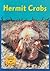 Hermit Crabs (Musty Crusty Animals)