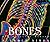Bones: Our Skeletal System (Human Body)