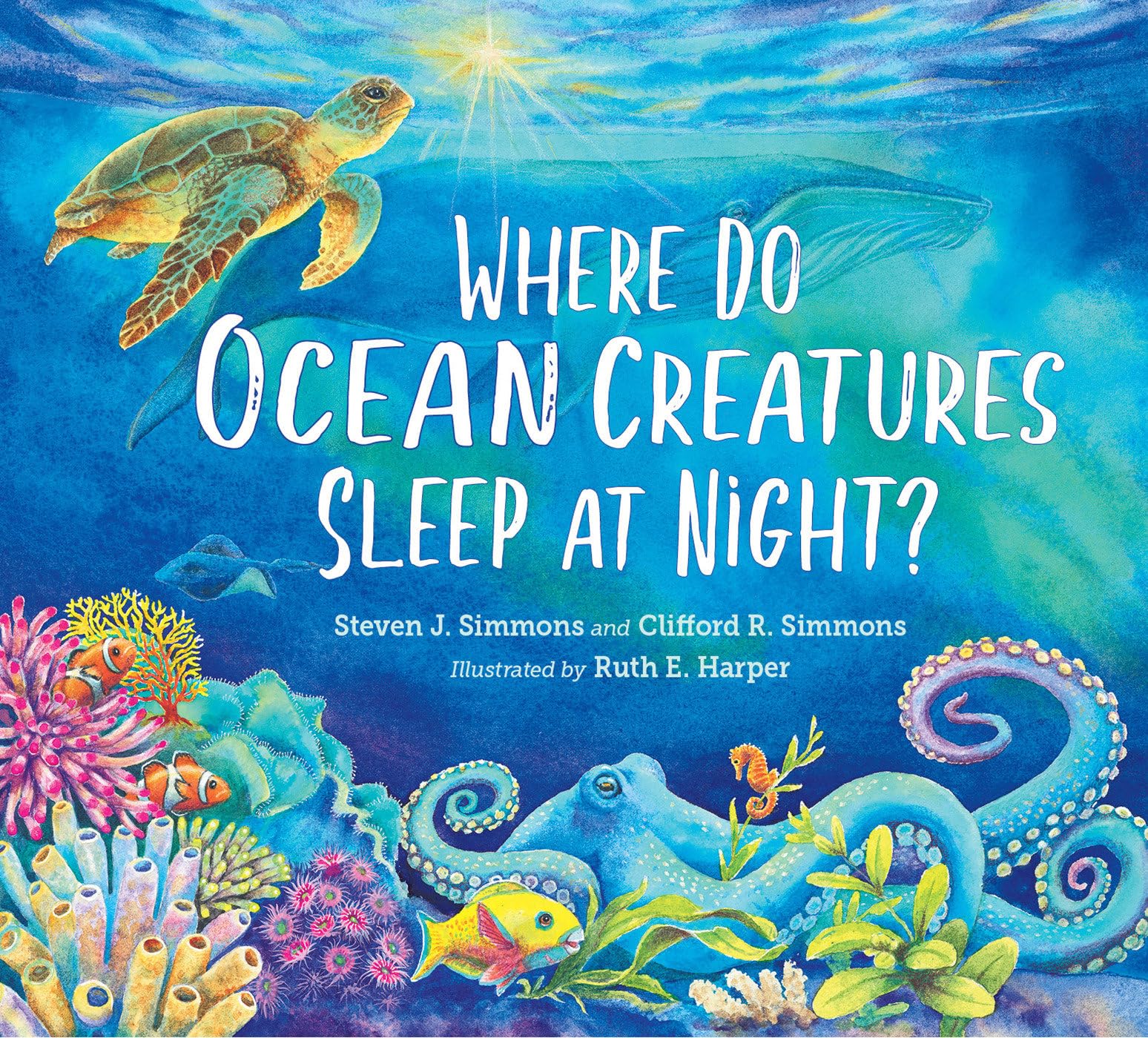 Where Do Ocean Creatures Sleep at Night? (Hardcover)