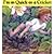 I'm as Quick as a Cricket by Wood, Audrey [Child's Play Inter... by Wood