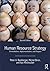 Human Resource Strategy: Formulation, Implementation, and Impact by Bamberger, Peter A., Biron, Michal, Meshoulam, Ilan 2nd edition (2014) Paperback