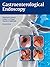 Gastroenterological Endoscopy by Meinhard Classen (2010-01-13)