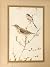 Twenty-Four Nature Pictures by Edward Julius Detmold