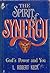 The spirit of synergy by L. Robert Keck
