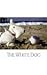 The White Dog