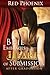 Brie Embraces the Heart of Submission: After Graduation (Volume 2) by Red Phoenix (2013-10-25)