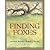 Finding Foxes by Allison Lee Blyler (1991-05-02)