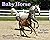 Baby Horse: A Foal's First ...