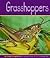Grasshoppers (Pebble Books)