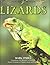 Lizards (Nature Watch)