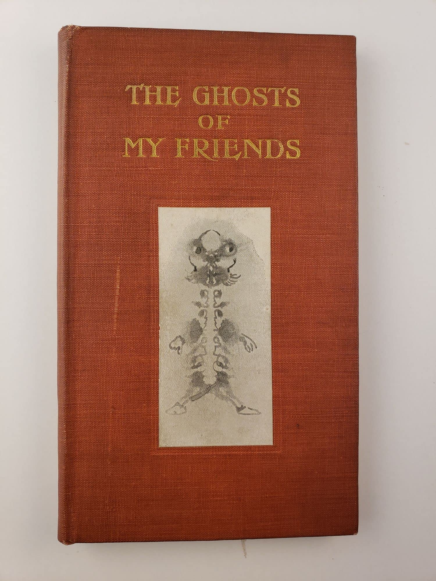 The Ghosts of My Friends (Hardcover)