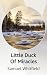 Little Duck Of Miracles by Samuel Whitfield