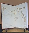 Die Gesichte der Schwester Mechtild von Magdeburg : aus dem "Fliessenden Licht der Gottheit". 1917 [Leather Bound]