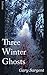 Three Winter Ghosts by Gary Sargent (2013-10-07)