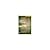 Developing Essential Understanding of Functions for Teaching Mathematics in Grades 9-12 by Thomas J. Cooney, Sybilla Beckmann, Gwendolyn M. Lloyd (2010) Paperback