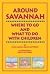 Around Savannah: Where to Go and What to Do with Children