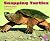 Snapping Turtles (Reptiles) by Elizabeth Thomas (2011-07-01)