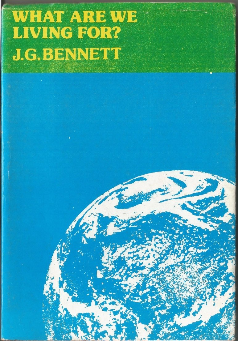 What Are We Living For? (Paperback)