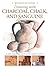 Drawing With Charcoal, Chalk, and Sanguine Crayon (Beginner's Art Guides) by Gabriel Martin Roig (2006-12-01)
