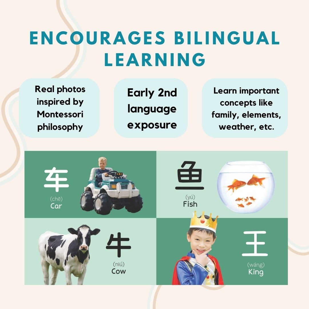 My First Chinese Characters (English and Chinese Edition)