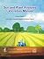Soil and Plant Analysis