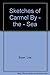 Sketches of Carmel By - the - Sea by Lisa Bryan