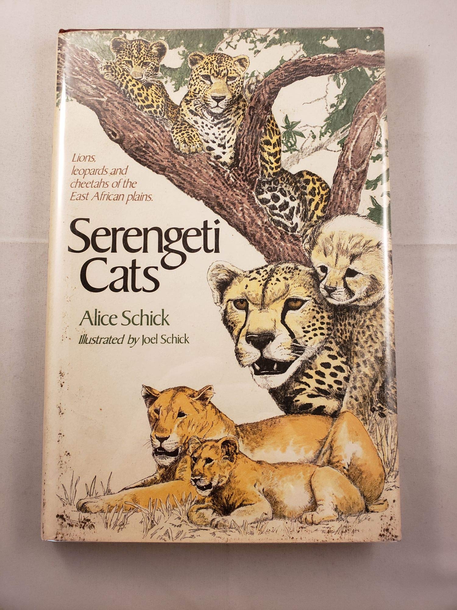 Serengeti Cats (Hardcover)
