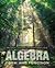 Algebra - Form / Function (10) by McCallum, William G - Connally, Eric - Hughes-Hallett, Debora [Hardcover (2009)]