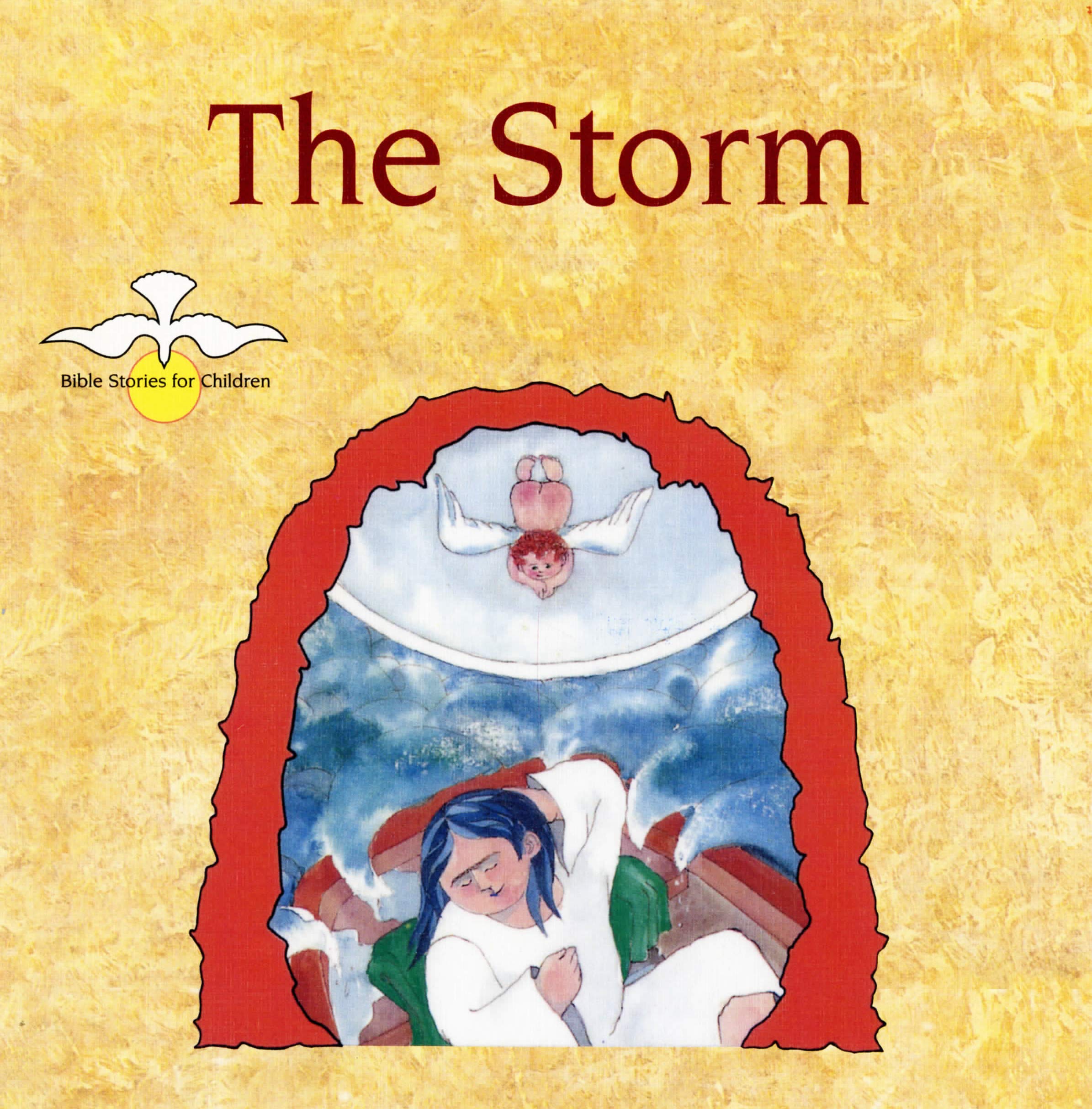 THE STORM (Paperback)