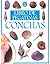 Libro de Pegatinas Conchas