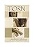 Torn