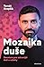 Mozaika duše: Desatero pro zdravější duši a vztahy