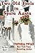 Two Old Fools in Spain Again (Volume 4) by Victoria Twead (2014-07-25)