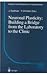 Neuronal Plasticity: Building a Bridge from the Laboratory to the Clinic (Research and Perspectives in Neurosciences) (1998-12-10)