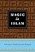 Magic in Islam by Michael Muhammad Knight (2016-06-06)