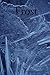Frost