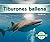 Tiburones Blancos (Great Wh...
