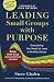 [Leading Small Groups with Purpose: Everything You Need To Lead A Healthy Group] [By: Gladen, Steve] [January, 2013]
