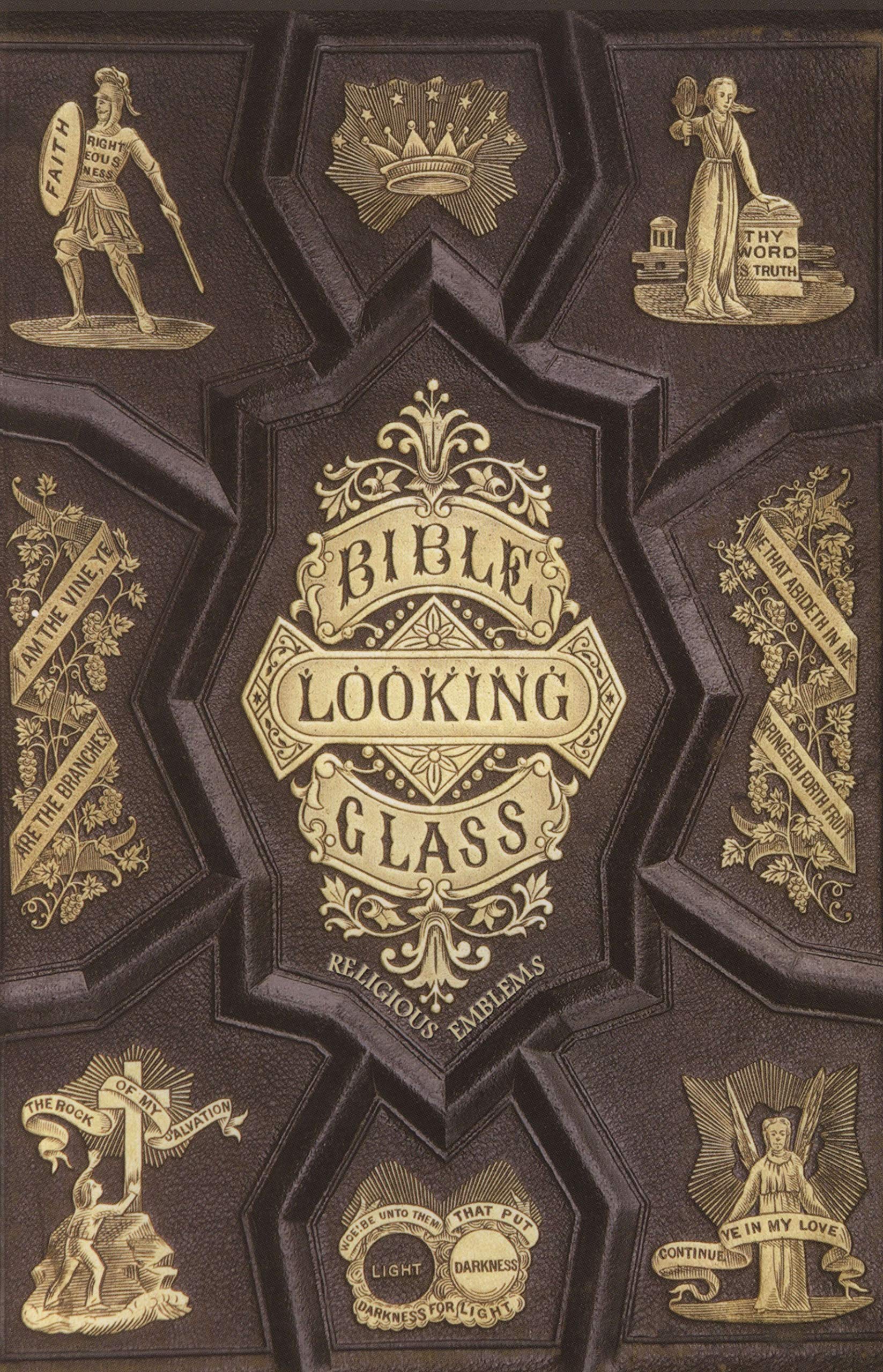 The Bible Looking Glass (Paperback)