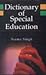 Dictionary of Special Education
