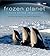 Frozen Planet by Fothergill, Alastair, Berlowitz, Vanessa (2011) Hardcover