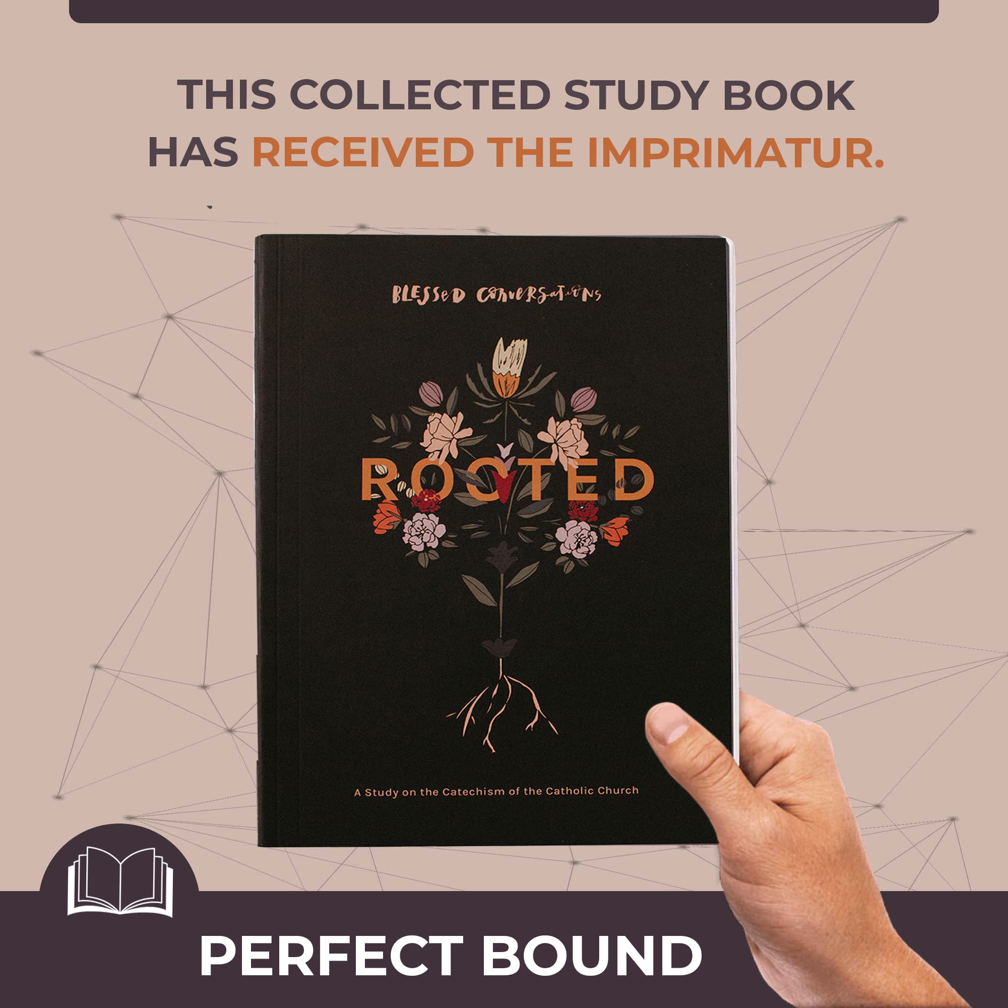 Blessed is She ROOTED, Study on Topics in the Catechism of the Catholic Church, Catholic Prayer Book, Virtue Wisdom Catholic Bible, Catholic Sacramentals Grace, & Moral Compas - 279 pages (10"x8.43")