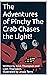 The Adventures of Pinchy Th...