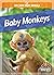 Baby Monkeys