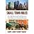 Small Town Rules: How Big Brands and Small Businesses Can Prosper in a Connected Economy by Moltz, Barry J., McCray, Becky [Que Publishing, 2012] [Hardcover]
