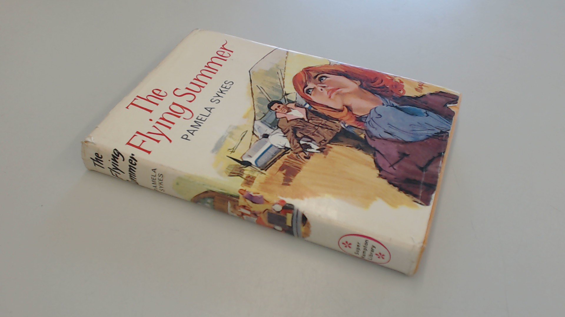 The flying summer (Hardcover)