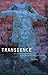 By Wu Hung - Transience: Chinese Experimental Art at the End of the Twentieth Century: 11th (eleventh) Edition